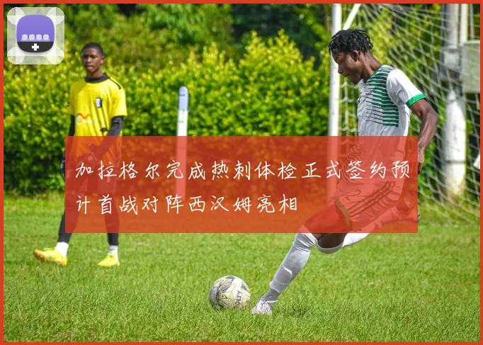 加拉格尔完成热刺体检正式签约预计首战对阵西汉姆亮相