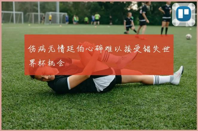 伤病无情廷伯心碎难以接受错失世界杯机会