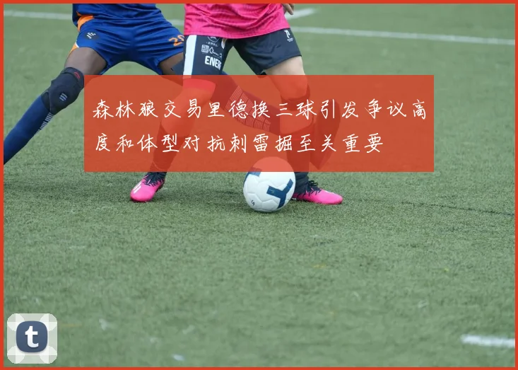 森林狼交易里德换三球引发争议高度和体型对抗刺雷掘至关重要
