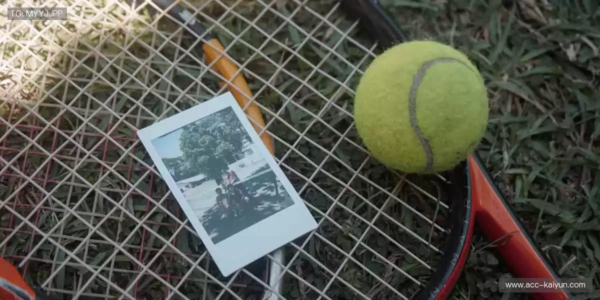 🎯 精准捕捉，不错过任何一个精彩瞬间！